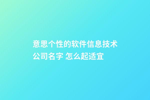意思个性的软件信息技术公司名字 怎么起适宜-第1张-公司起名-玄机派